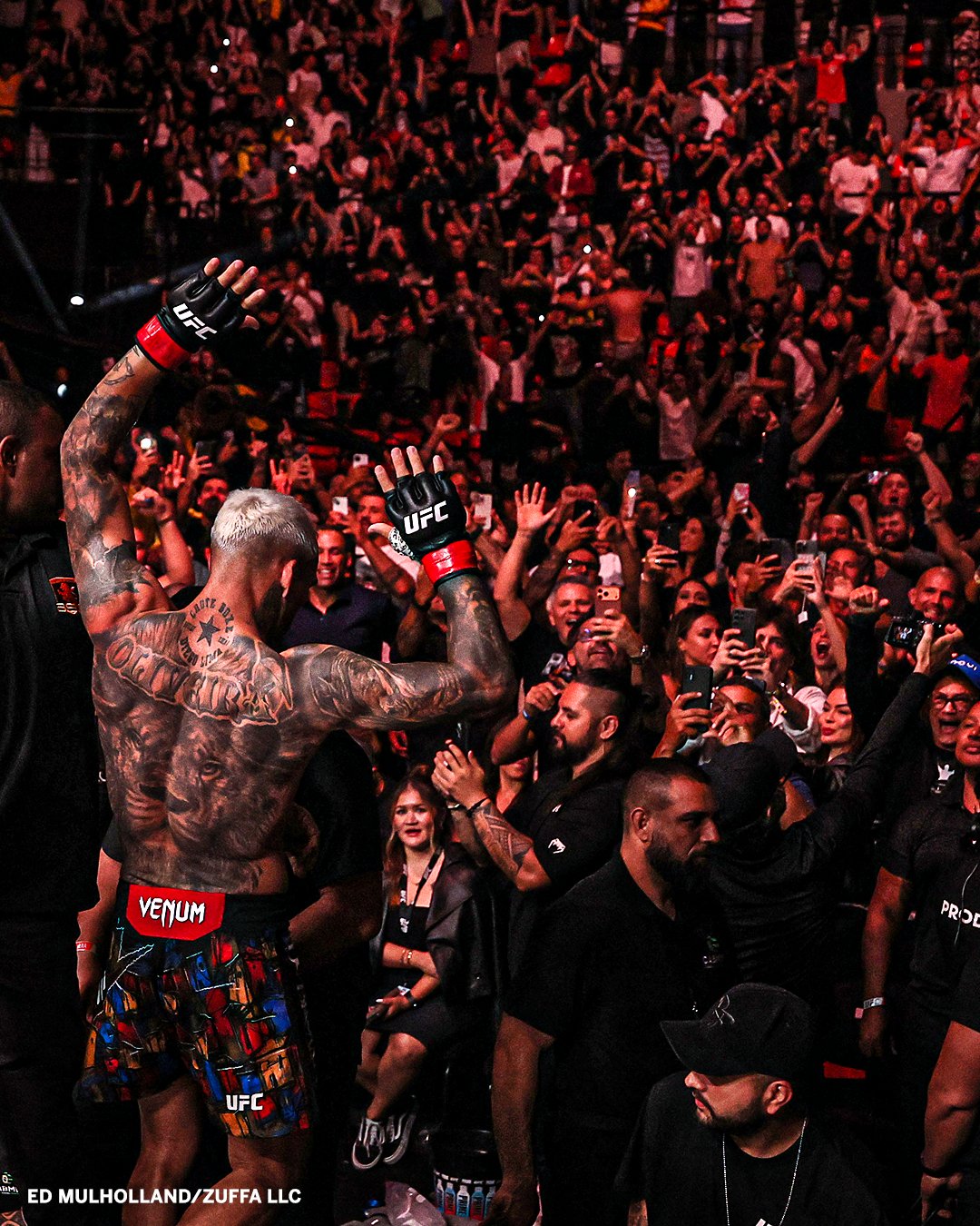 Charles Oliveira zwycięża przez poddanie w drugiej rundzie