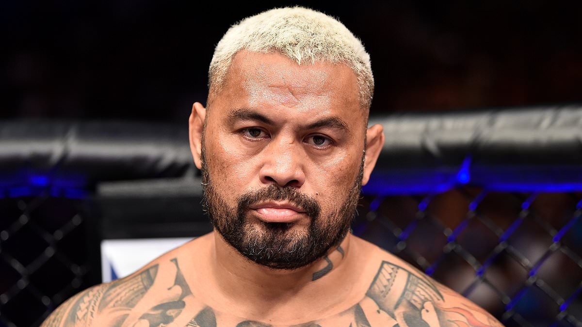 Były zawodnik UFC Mark Hunt aresztowany pod zarzutem przemocy domowej