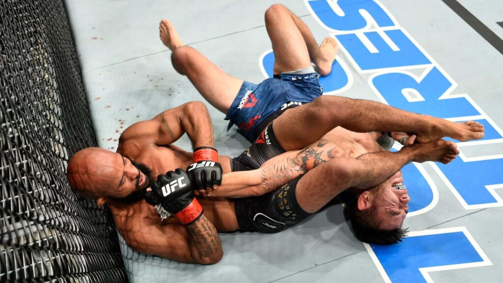 Georges St-Pierre zachwycony technicznym popisem Demetriousa Johnsona