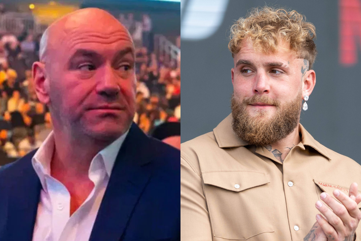 Jake Paul rzuca wyzwanie UFC? MVP planuje własny program typu reality show