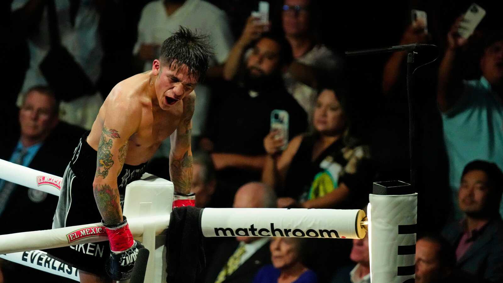 Jesse ‘Bam’ Rodriguez vs. Antonio Vargas: Zapowiedź walki o mistrzostwo świata WBA