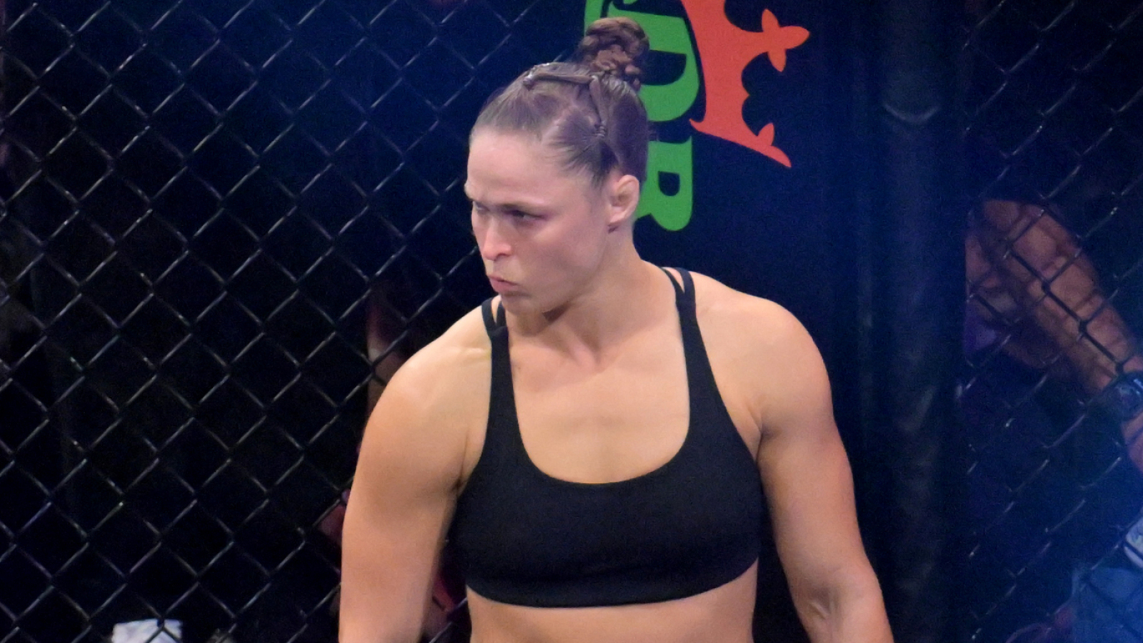 Joe Rogan pod wrażeniem oglądalności walki Ronda Rousey vs. Gina Carano na Netflixie