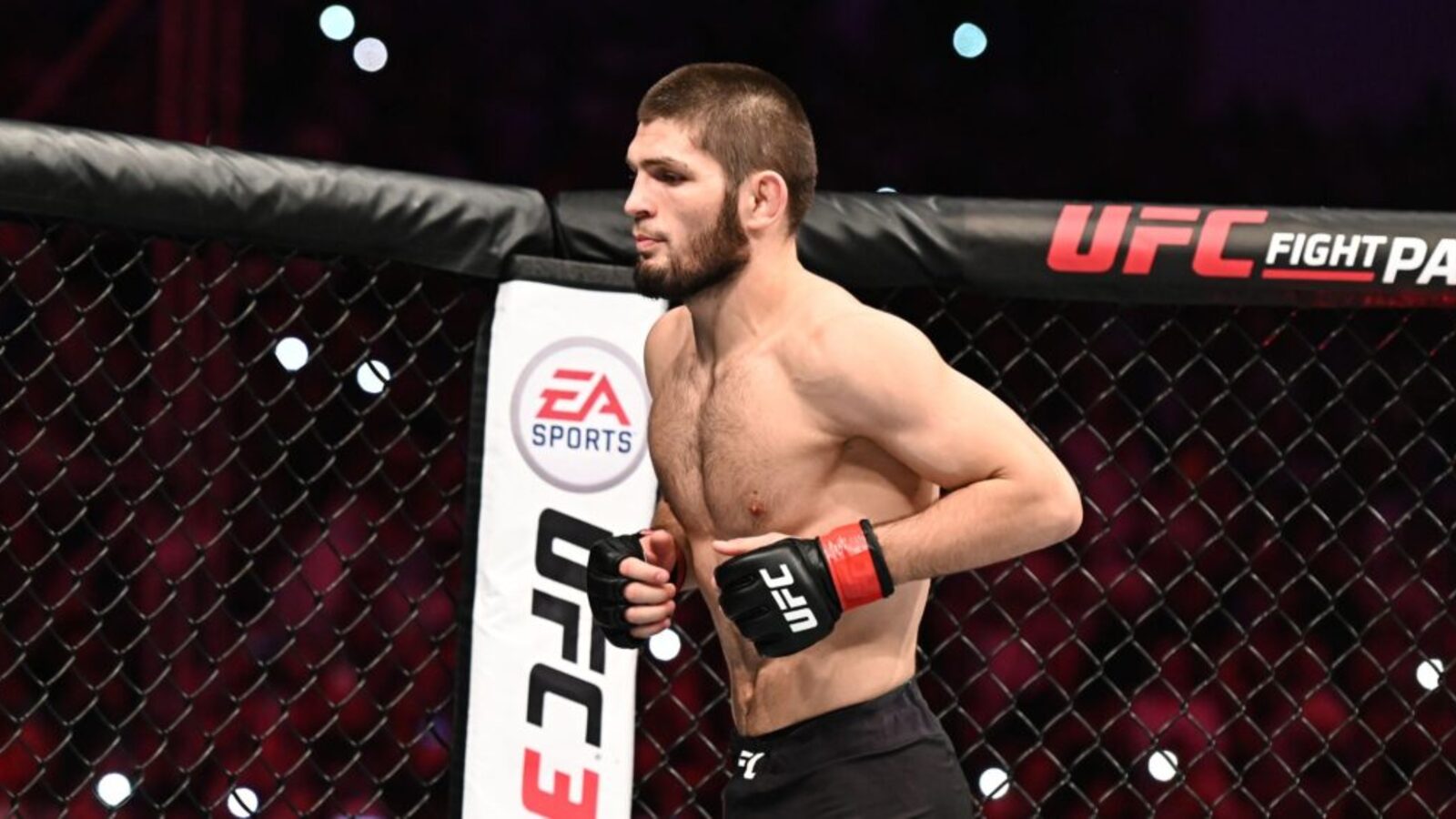 Khabib Nurmagomedov: MMA było łatwiejsze niż prowadzenie wielu biznesów