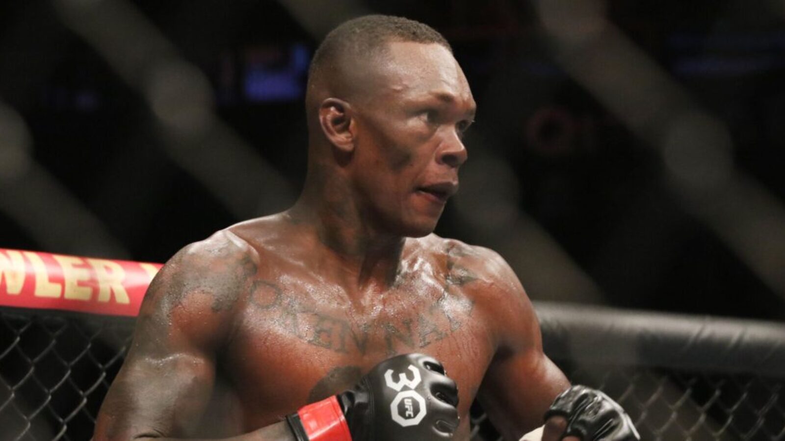 Weteran MMA o Izzym Adesanii: 'Nie musi już walczyć'