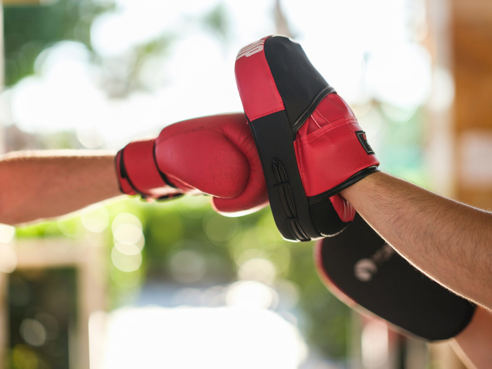 Puerto de Mazarron to host charity martial arts festival for cancer support