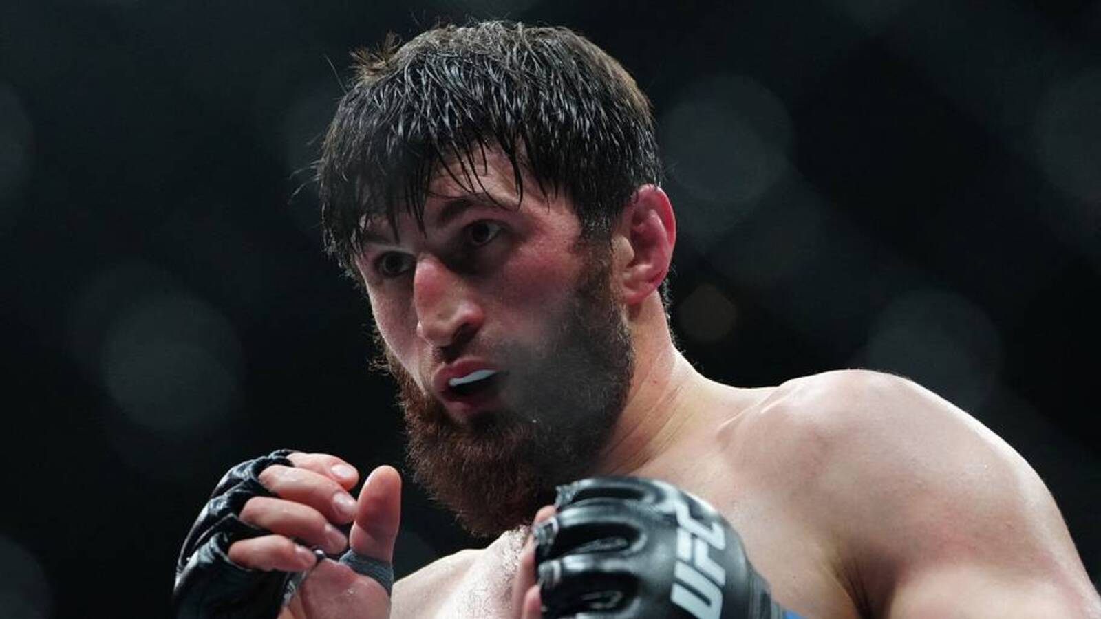 UFC Abu Dhabi: Magomed Ankalaev vs. Bogdan Guskov – Zapowiedź i typy na kartę walk