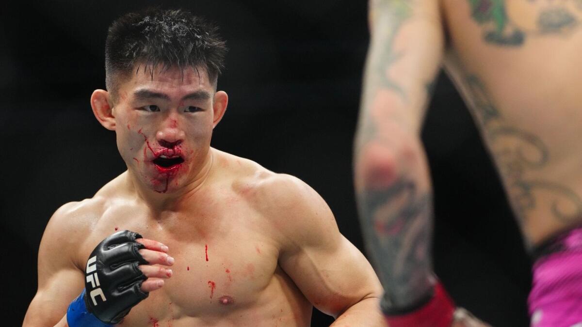 UFC Fight Night: Song Yadong vs. Figueiredo – typy i analiza eksperta