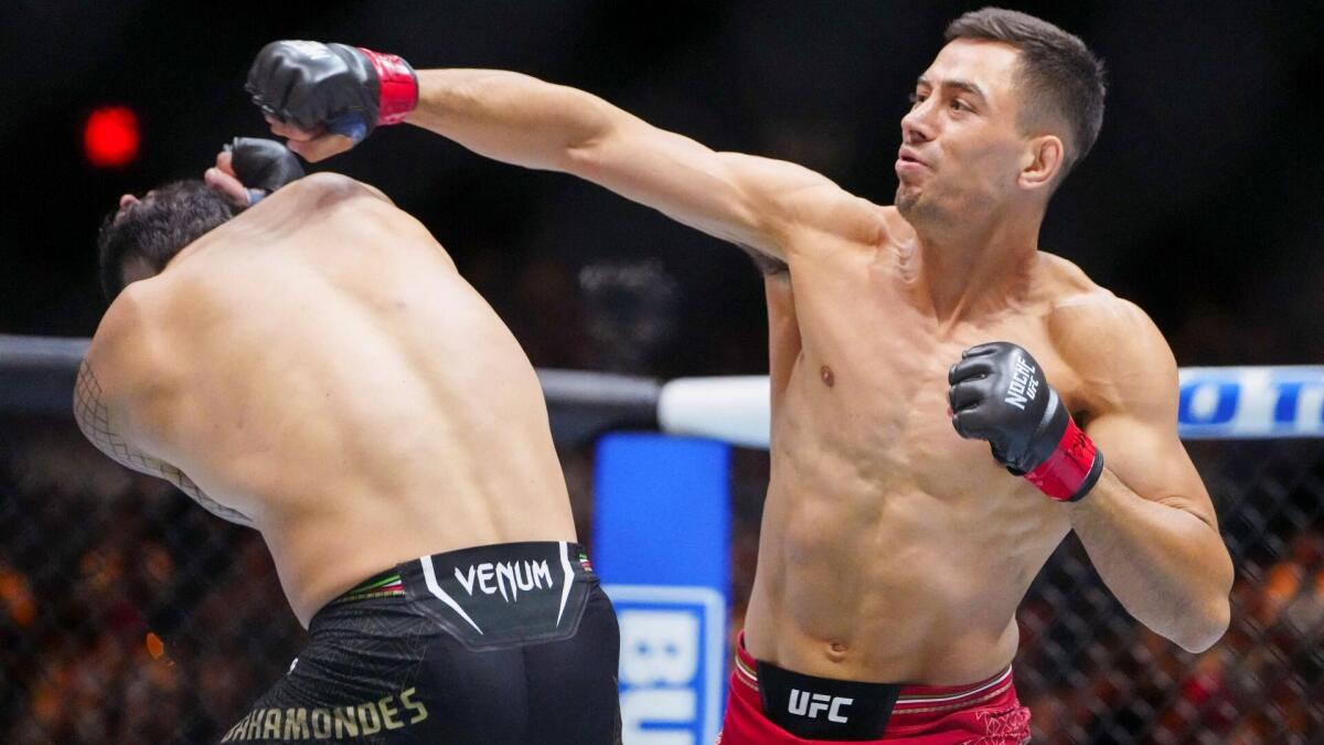 UFC Fight Night: Rafael Fiziev vs. Manuel Torres – Analiza i kursy bukmacherskie