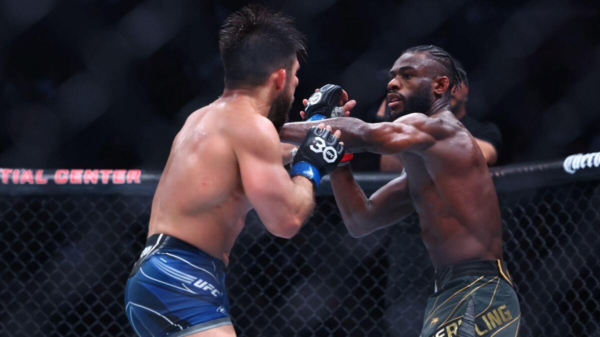 UFC Fight Night: Sterling kontra Zalal – typy, kursy, analiza eksperta