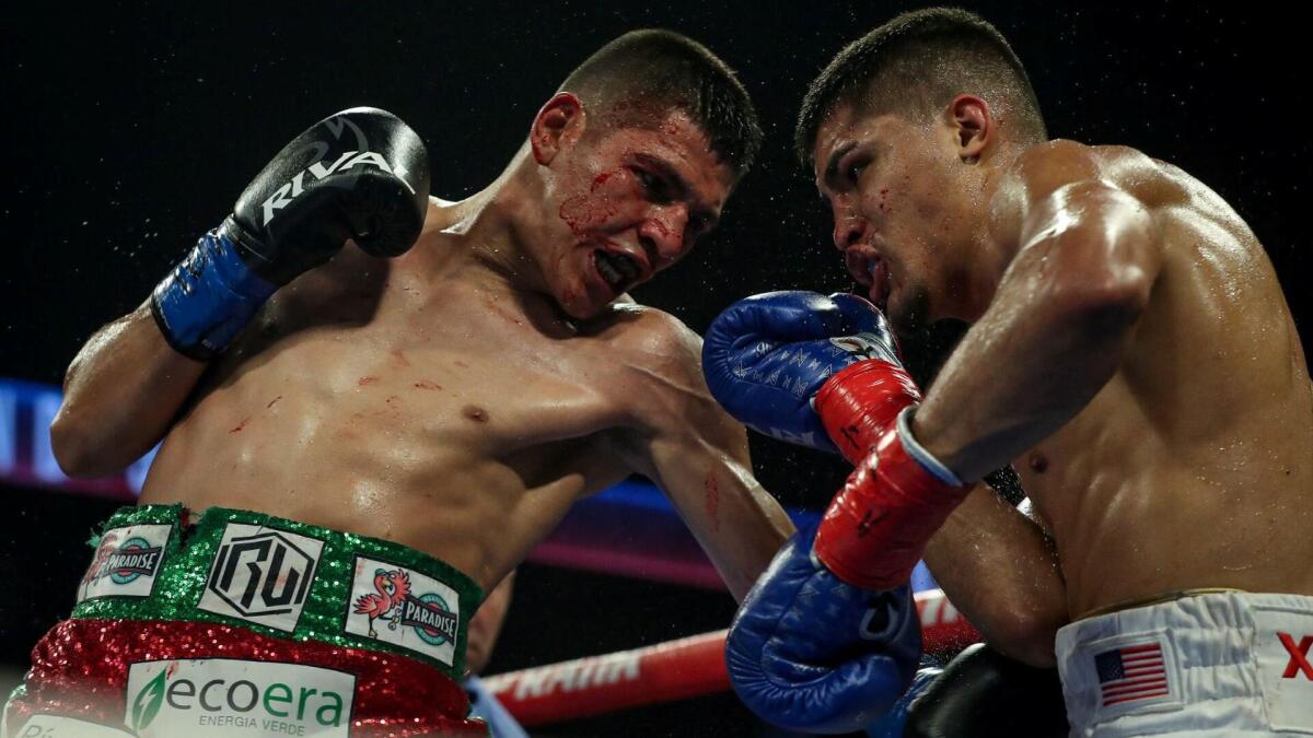 Xander Zayas vs. Jaron Ennis: Ekspert zdradza typy na hitowe starcie o pasy WBA i WBO