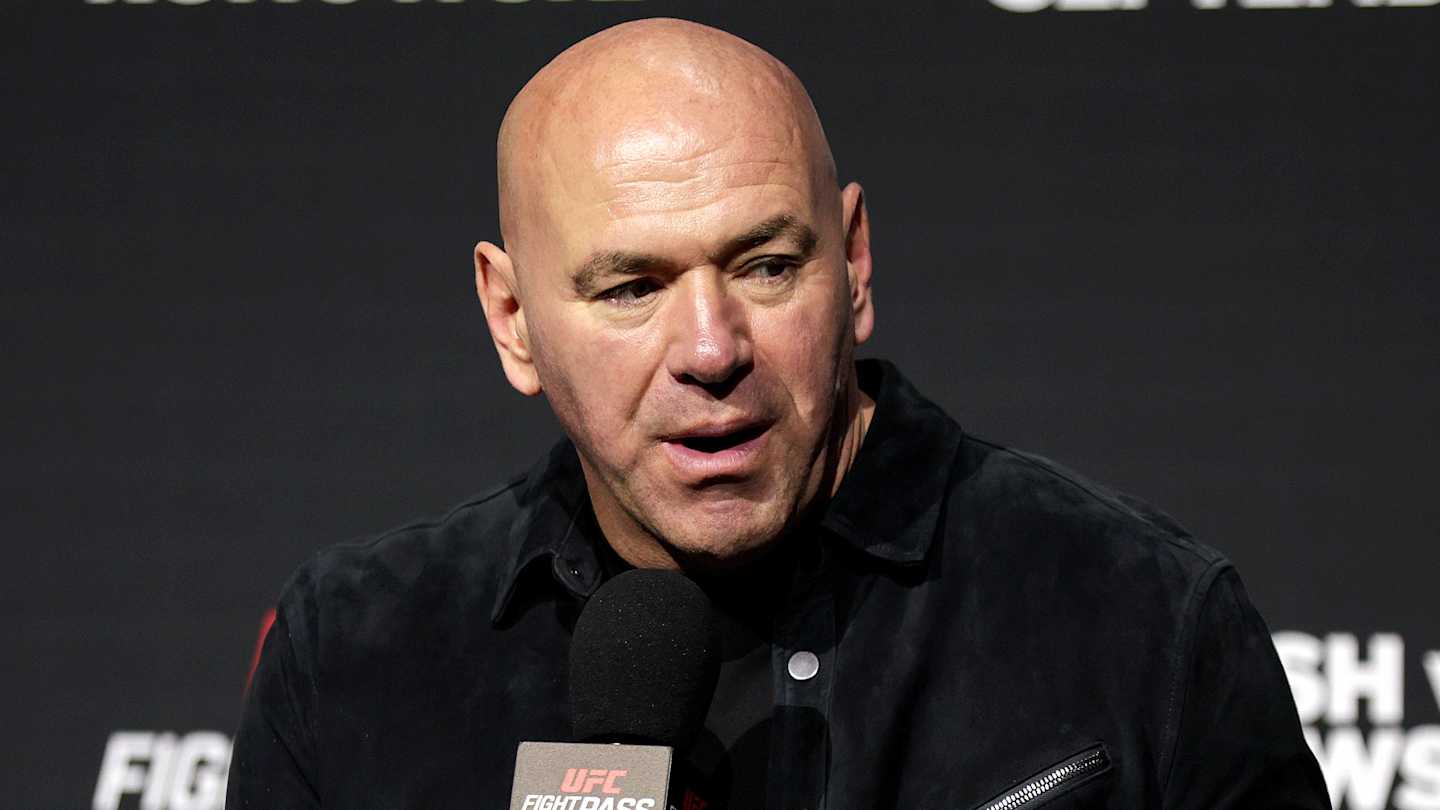 Zuffa Boxing pozyskuje kolejne gwiazdy. Hitchins i Berlenga dołączają do nowej potęgi boksu